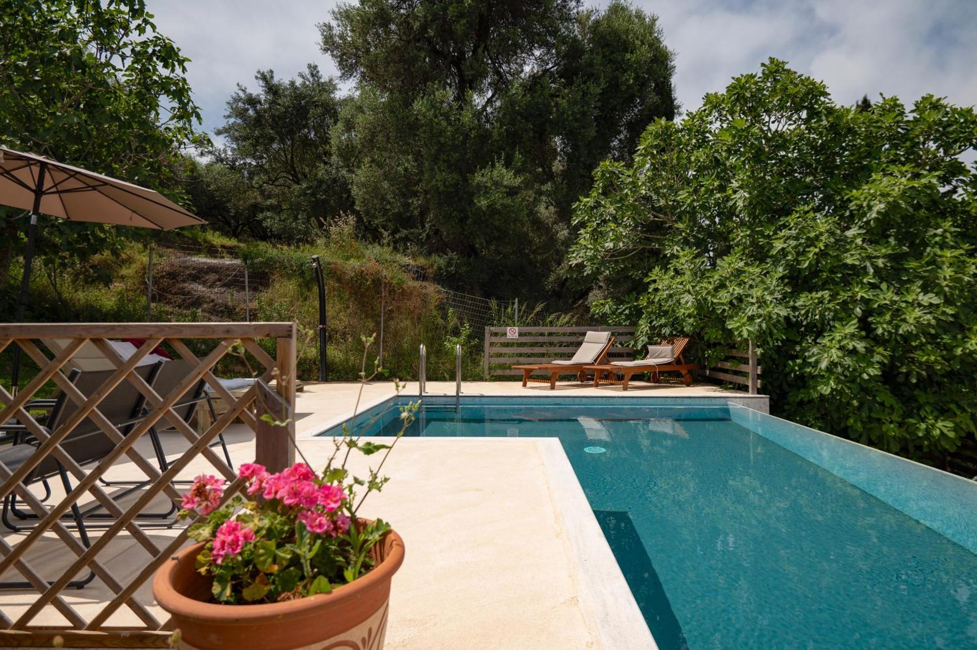 Villa Serenita Agios Georgios  Ngoại thất bức ảnh